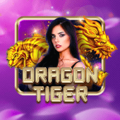 dreamph Dragon Tiger live casino